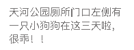 12px案例