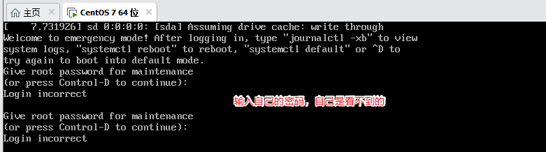 image-20200612213855202