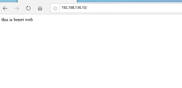 image-20200808145723295