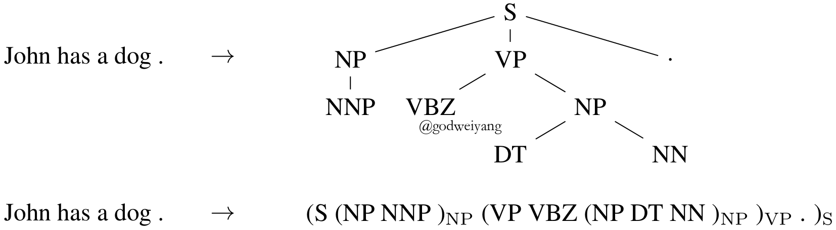 图10：句子“John has a dog .”对应的句法树及其括号表达式。