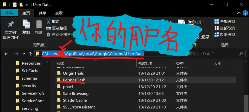 Chrome 自身更新的 PepperFlash