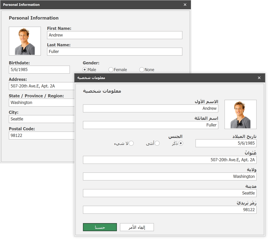 DevExpress Winforms v20.1°