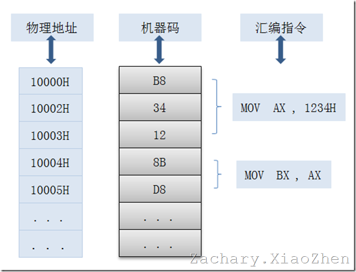后知后觉-CS:IP(PC)