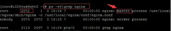 Nginx:启动、停止、重启命令。