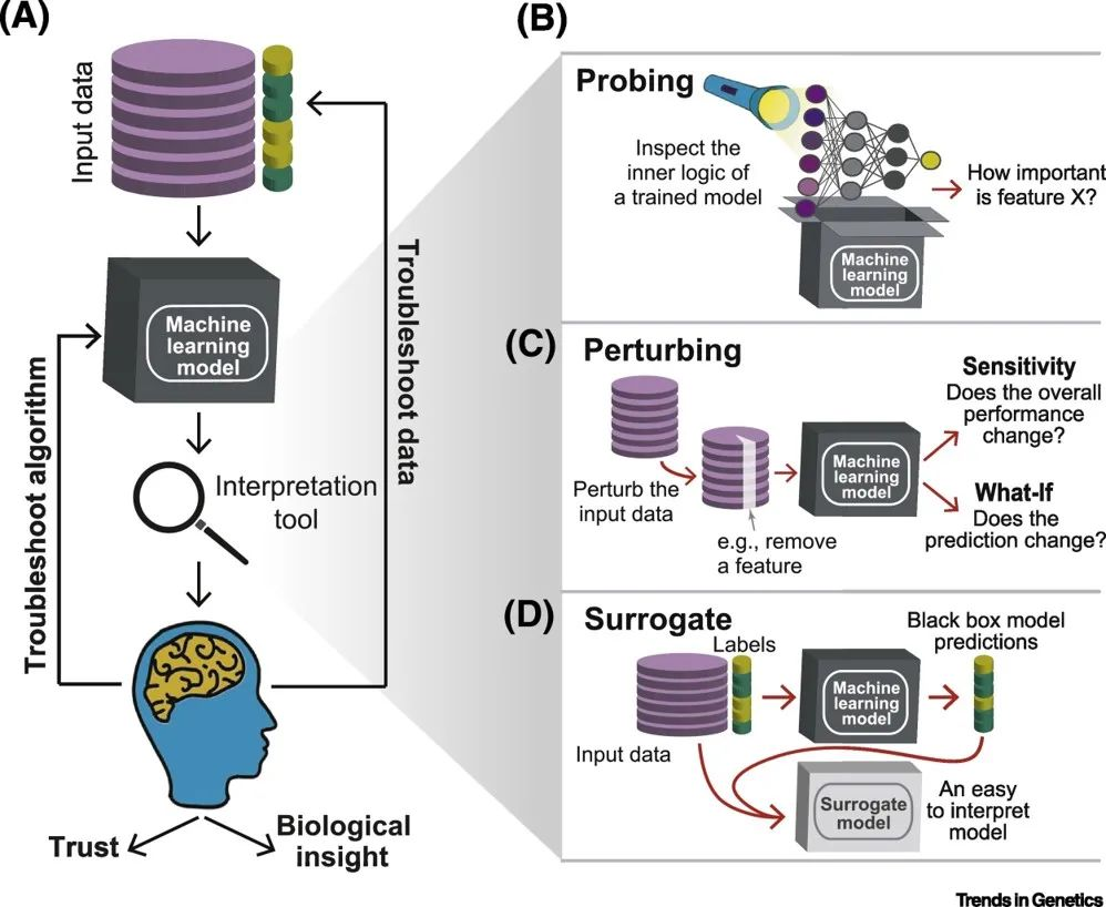 Cell Trends综述精选：人工智能在生物医学领域的应用-CSDN博客