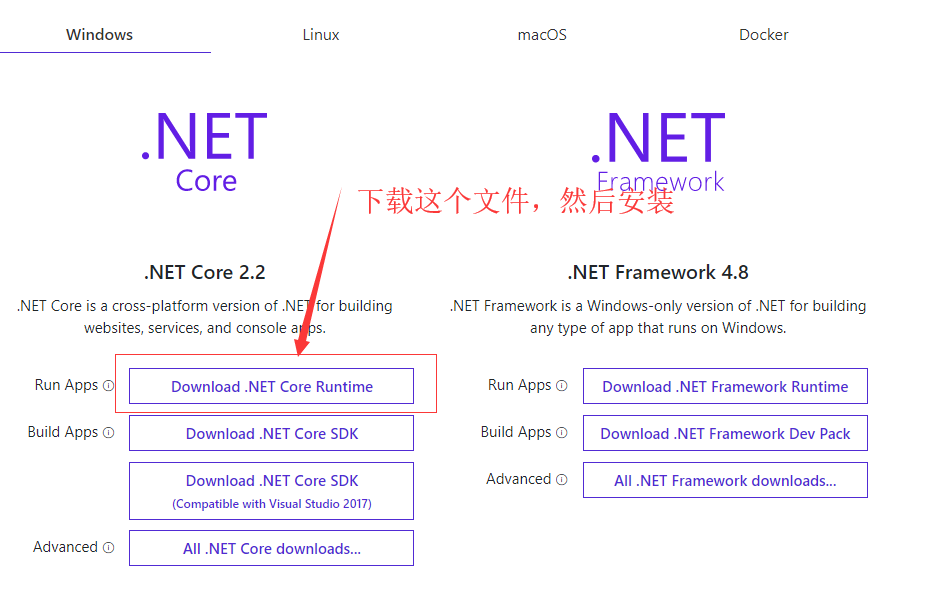 .net core环境运行时