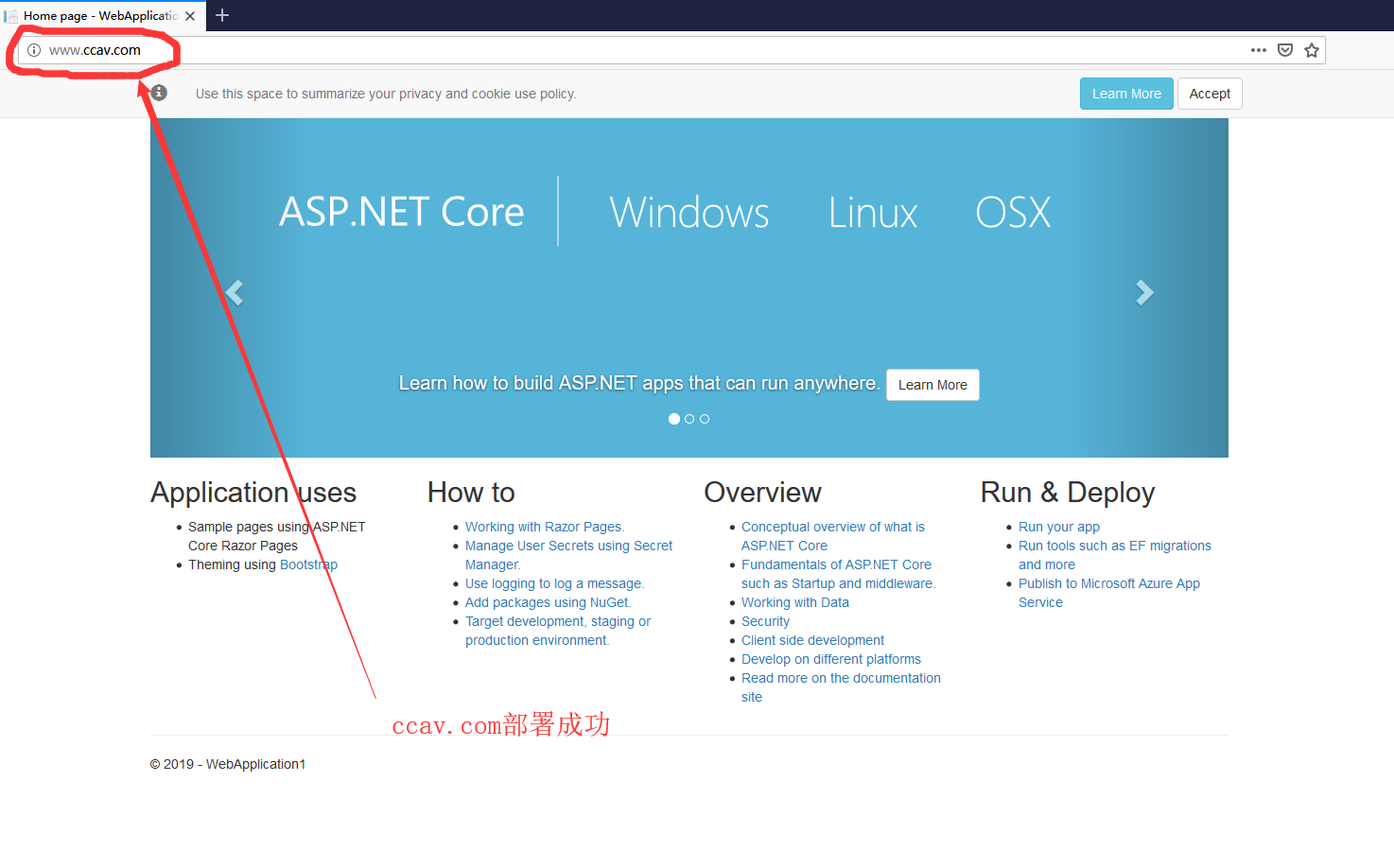 .net core网站部署成功