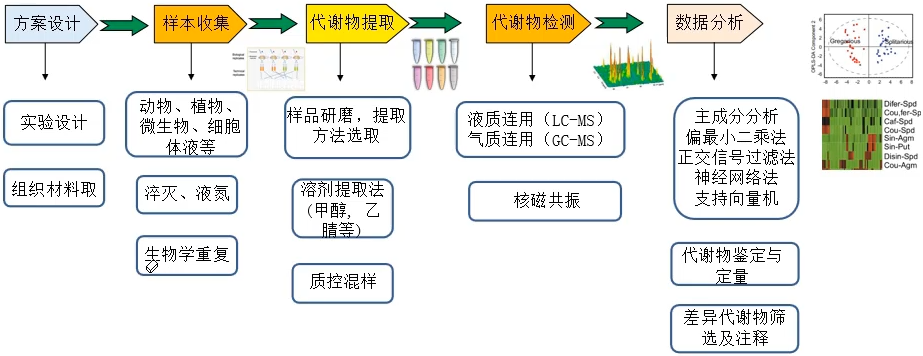 代谢组测序产品概述-CSDN博客