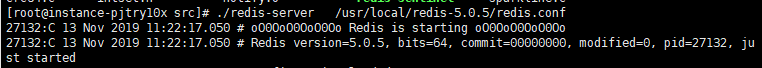 redis start