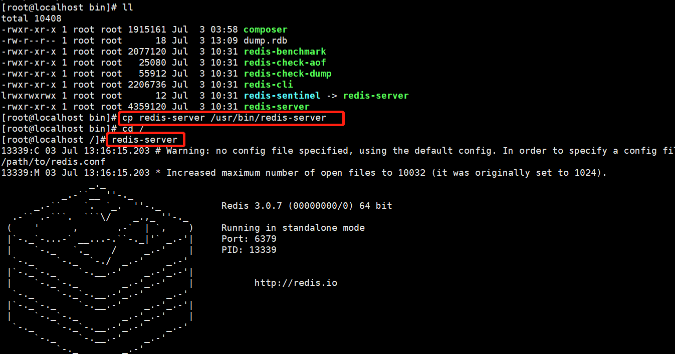 Server command