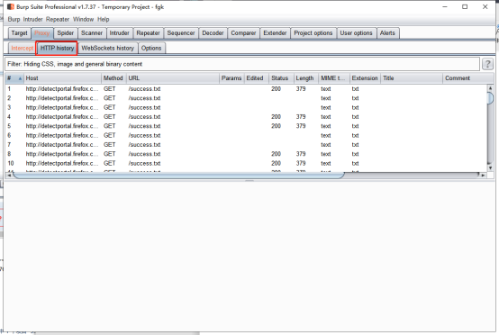 Burpsuite Professional安装及使用教程(抓包)