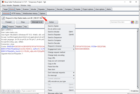 Burpsuite Professional安装及使用教程(抓包)