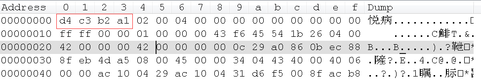 cap文件格式解析_.cap-CSDN博客