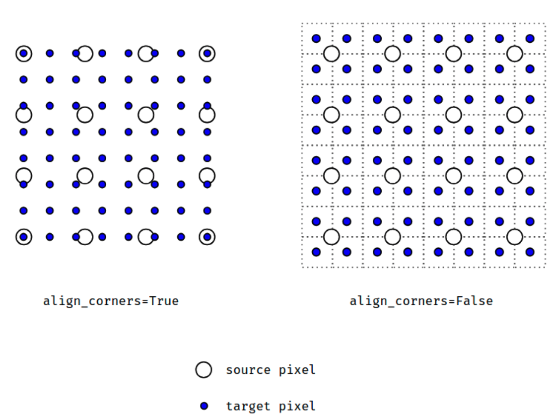 set model params nn torch