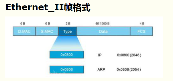 Какой аналог полей dsap и ssap в кадре ethernet ii