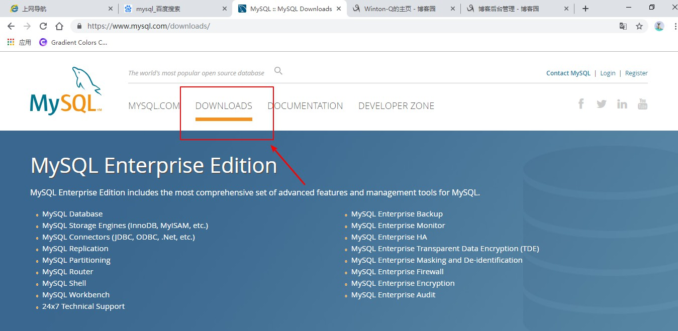 免安装版MySQL的配置——详细教程_mysql免安装版本配置文件-CSDN博客