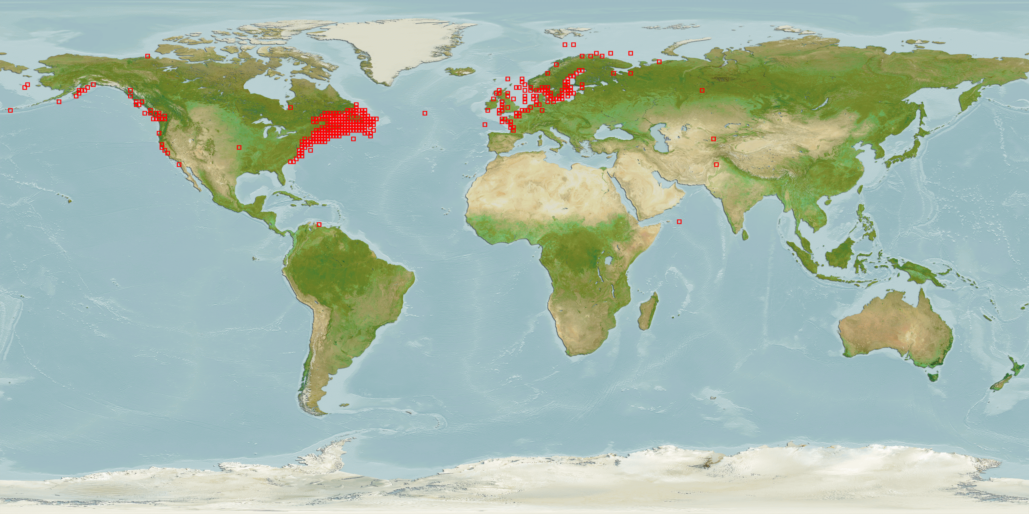 Местоположение х. Треска ареал обитания. Минтай ареал обитания. Ареал обитания трески. Ареал обитания трески на карте.