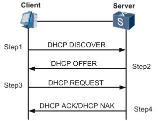 Вероятно в вашей сети не используется протокол dhcp kali linux