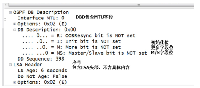 4 Dr r以及邻接关系 Qq 的博客 Csdn博客 Dr 和bdr 邻接