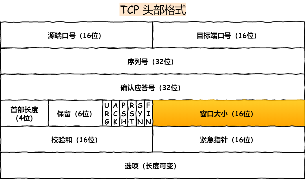 面试官：换人！他连TCP这几个参数都不懂小林coding-