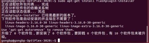 ubuntu如何安装 adobe flash player插件