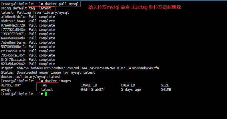 image-20200521113237254