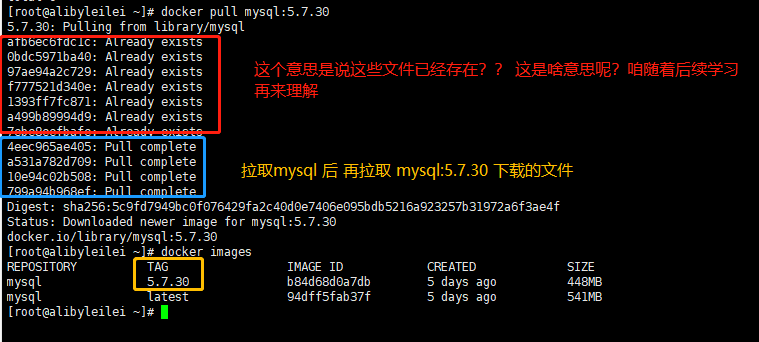 image-20200521113845254