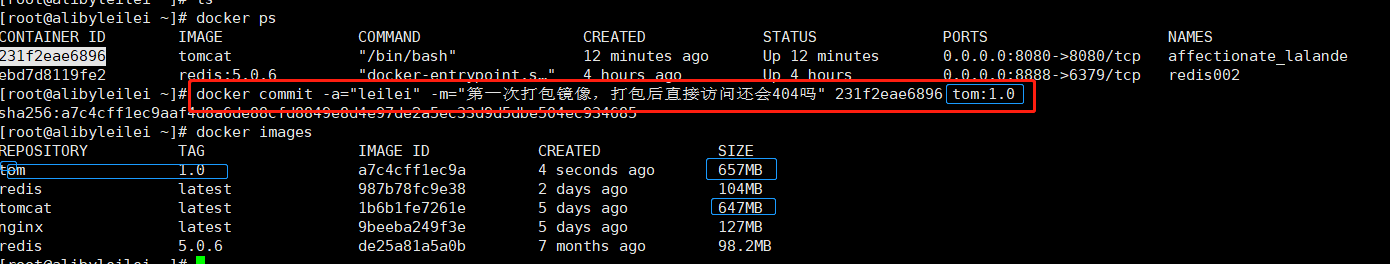 image-20200521200732680