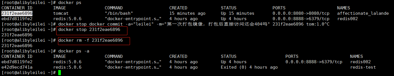 image-20200521201009678