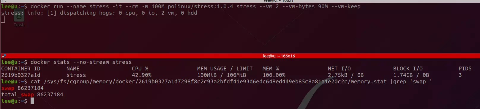 Docker Max Memory Limit