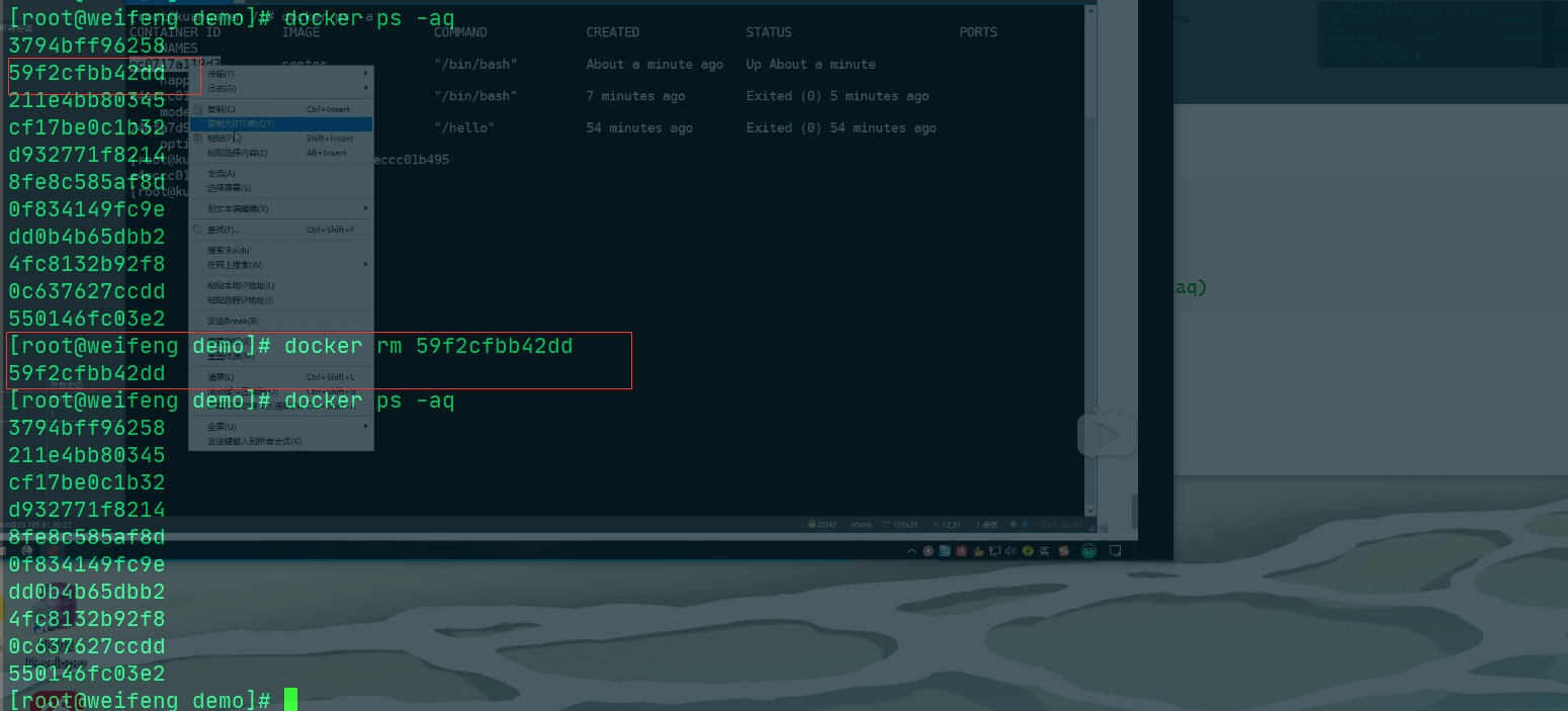 image-20200516212245171