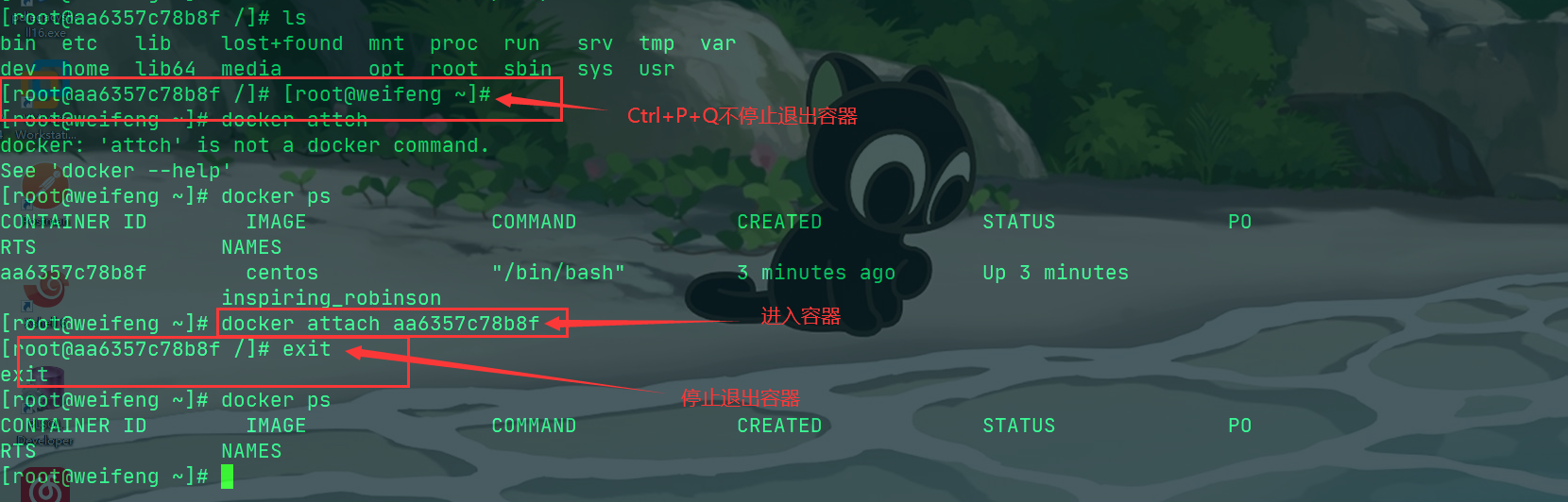 image-20200517085123029