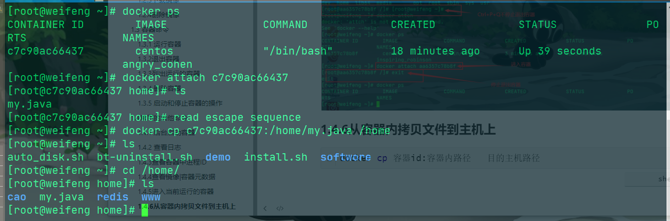 image-20200517090747714
