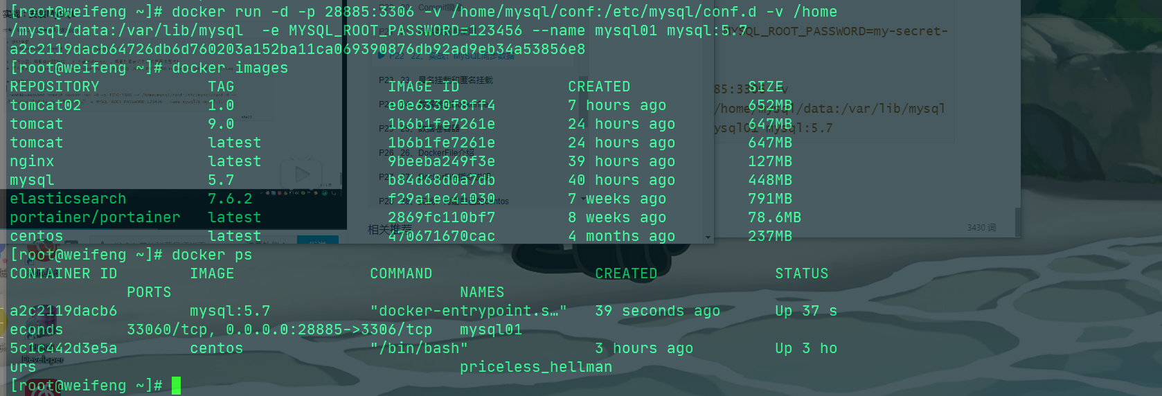 image-20200517194600589