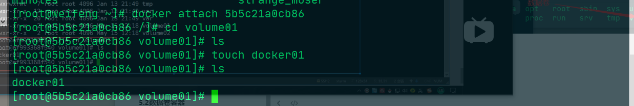 image-20200517225023111