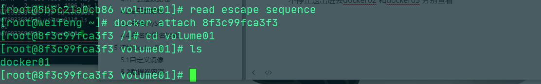 image-20200517225216735