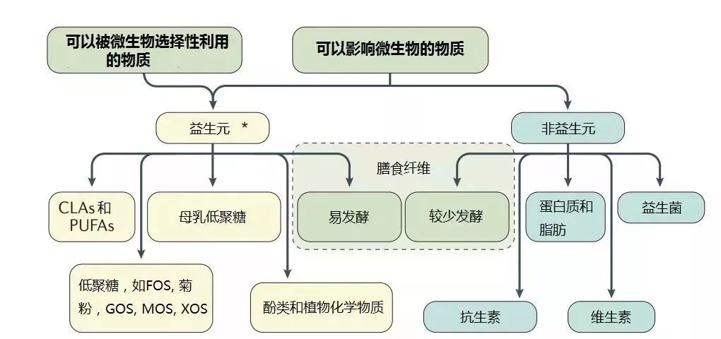 Nature Reviews：全新的益生元定义和范围-CSDN博客