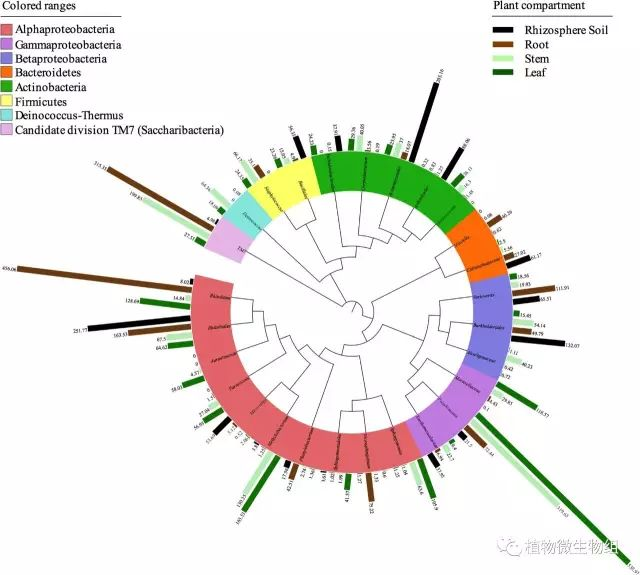 简单套路发高分文章--杨树内生和根际微生物组结构-CSDN博客