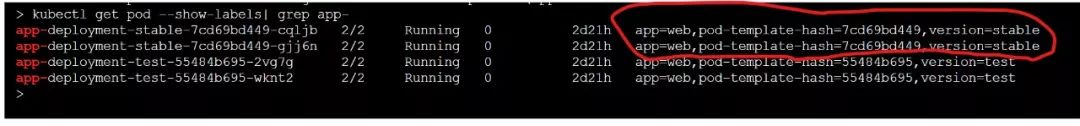 只需 5 分钟，手把手教会你在 Docker 和 Kubernetes 中进行应用发布！