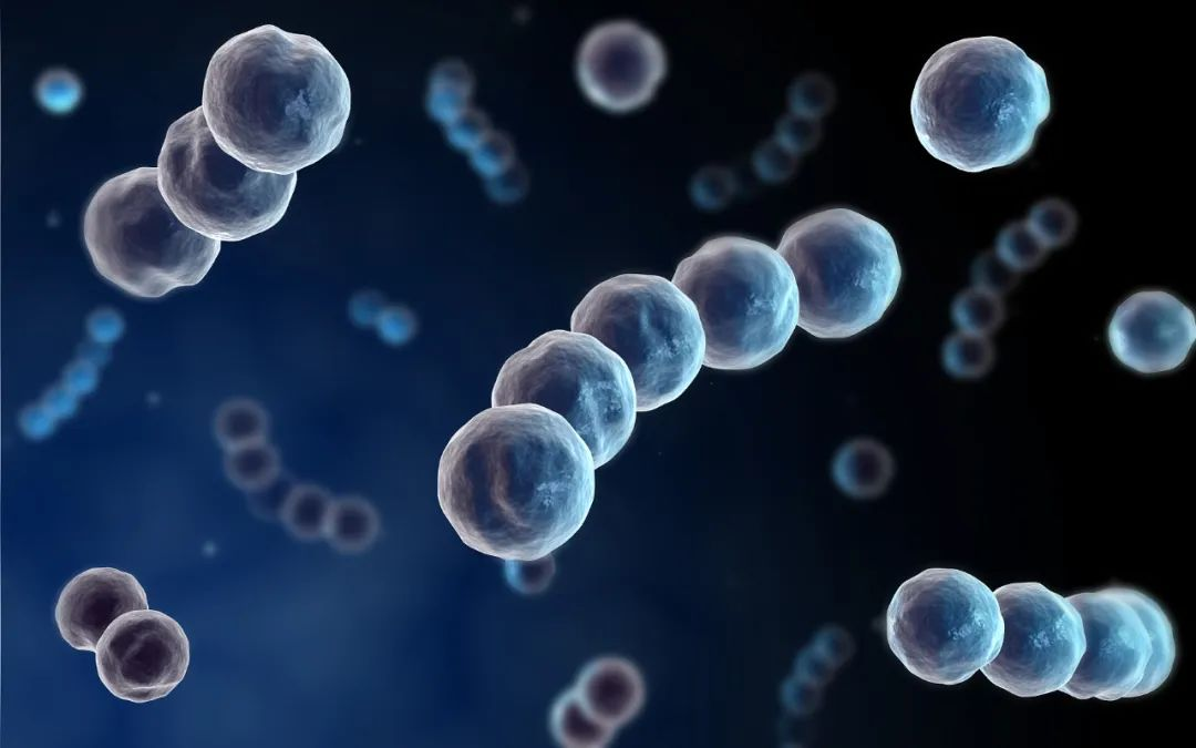 deepmind攻破生物学领域50年难题蛋白质结构预测准确性可达924分