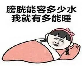 完了，我不适合做程序员！启舰-
