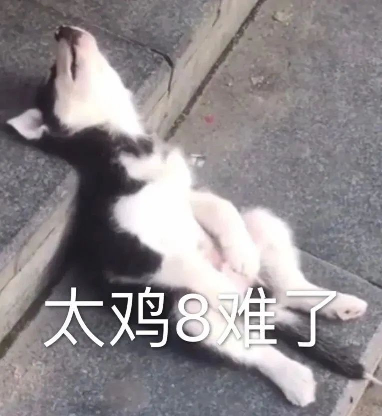 内卷严重 加班多 给几条程序员都适用的建议 Zl1zl2zl3的博客 Csdn博客