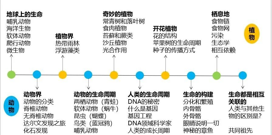 面包板上多个小灯泡串联 Csdn