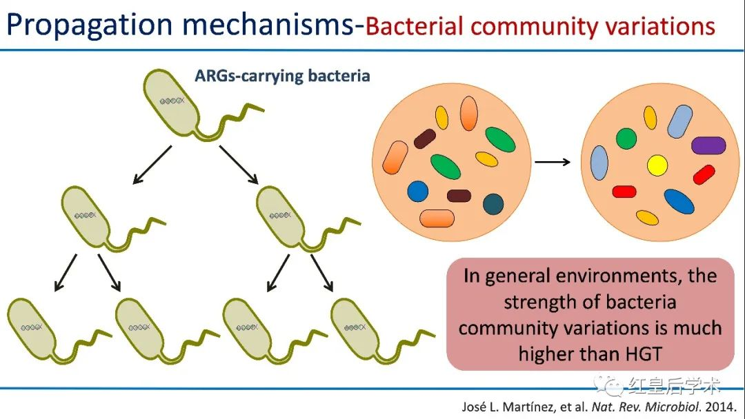 抗生素抗性基因研究进展ppt分享