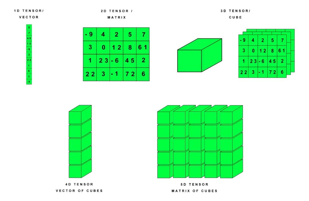 permute pytorch