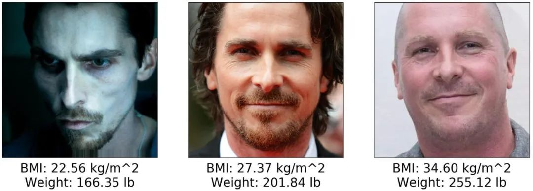 使用Keras和迁移学习从人脸图像中预测体重指数BMI-CSDN博客