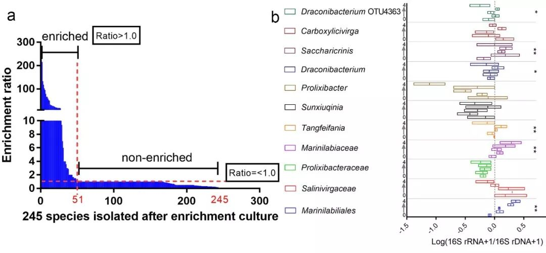 Microbiome：所谓的“富集培养”获得的微生物真的都是被“富集”出来的吗？(一作解读)..._刘永鑫Adam的博客-CSDN博客