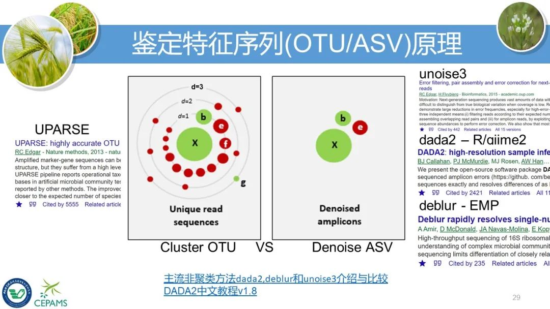 扩增子和宏基因组数据分析流程和可视化方案—刘永鑫(南京，2020年11月27日）-CSDN博客