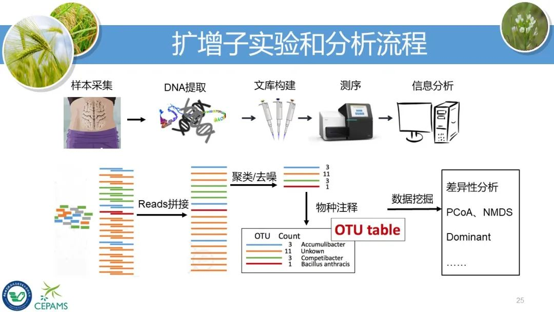 扩增子和宏基因组数据分析流程和可视化方案—刘永鑫(南京，2020年11月27日）-CSDN博客