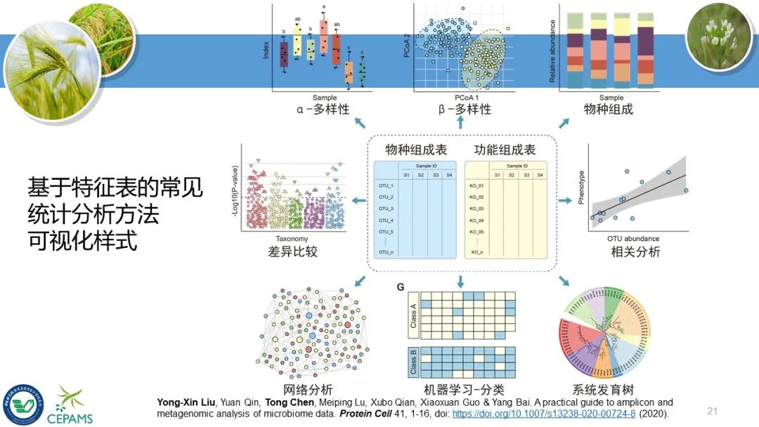 扩增子和宏基因组数据分析流程和可视化方案—刘永鑫(南京，2020年11月27日）-CSDN博客